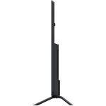 ASSET_MP_144371545